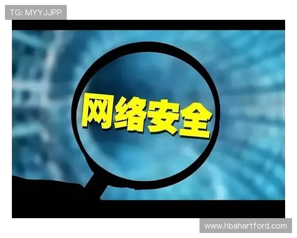 探索ag网站平台的安全保障措施与用户隐私保护策略，保障您的资金安全